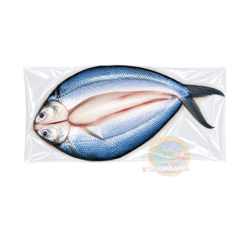 Plain Bangus (500g-700g)